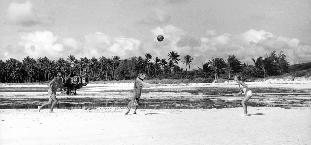 Filming Born Free - Elsa on the beach