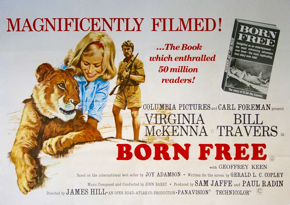 Born Free movie poster
