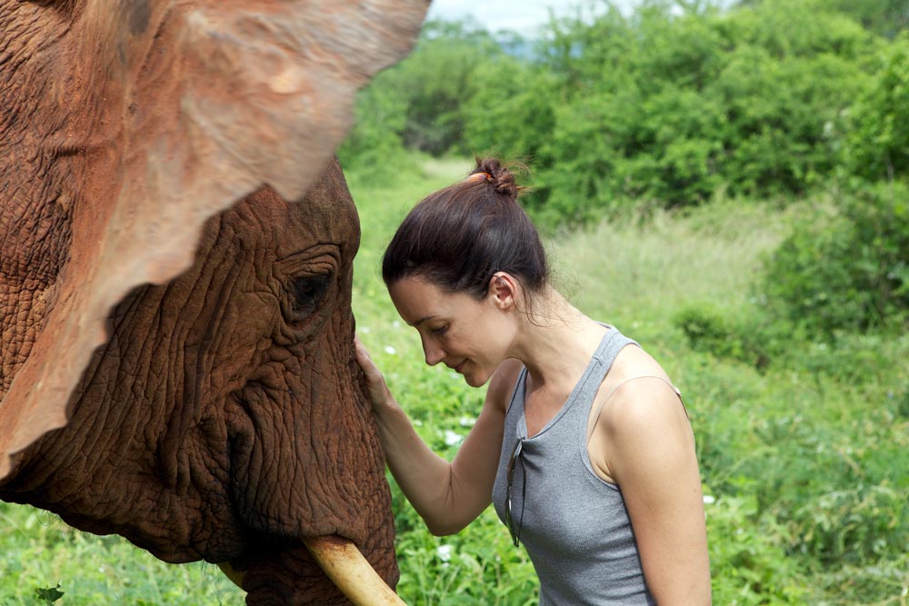 Kristin Davis Elephant Close-up