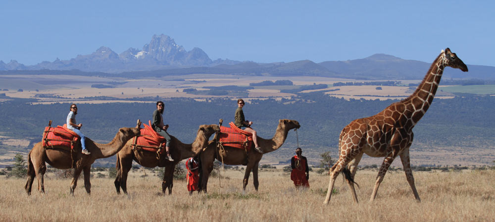 Kenya's conservancies - Camel safari in Lewa Wildlife Conservancy