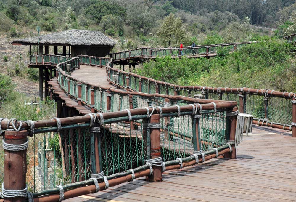 The Nairobi Safari Walk