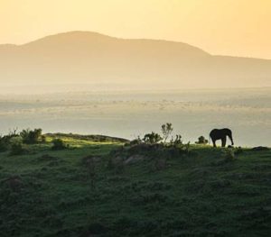 Kenya-holidays-Explore-Laikipia