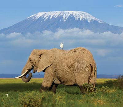 Kenya-safari-Amboseli