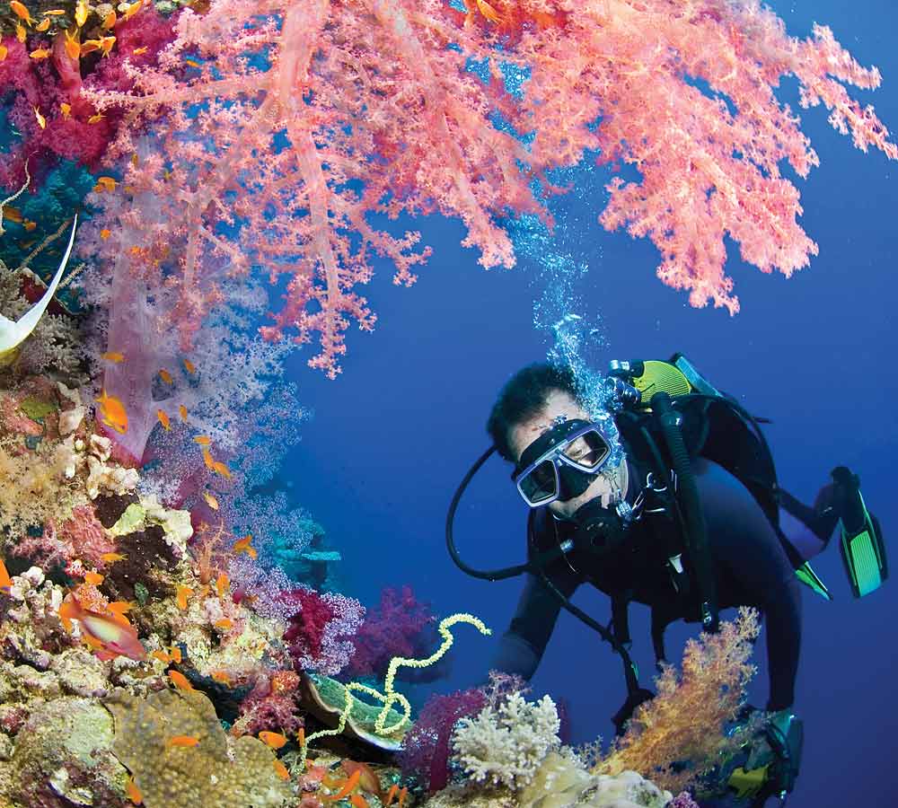 Mombasa-Marine-Park-diving