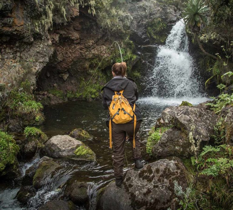 Mount Kenya - A Popular National Park And A Prime Climbing Venue