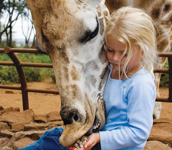 Nairobi-day-trips-Giraffe-Centre