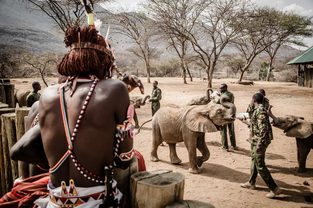 Reteti elephant sanctuary samburu