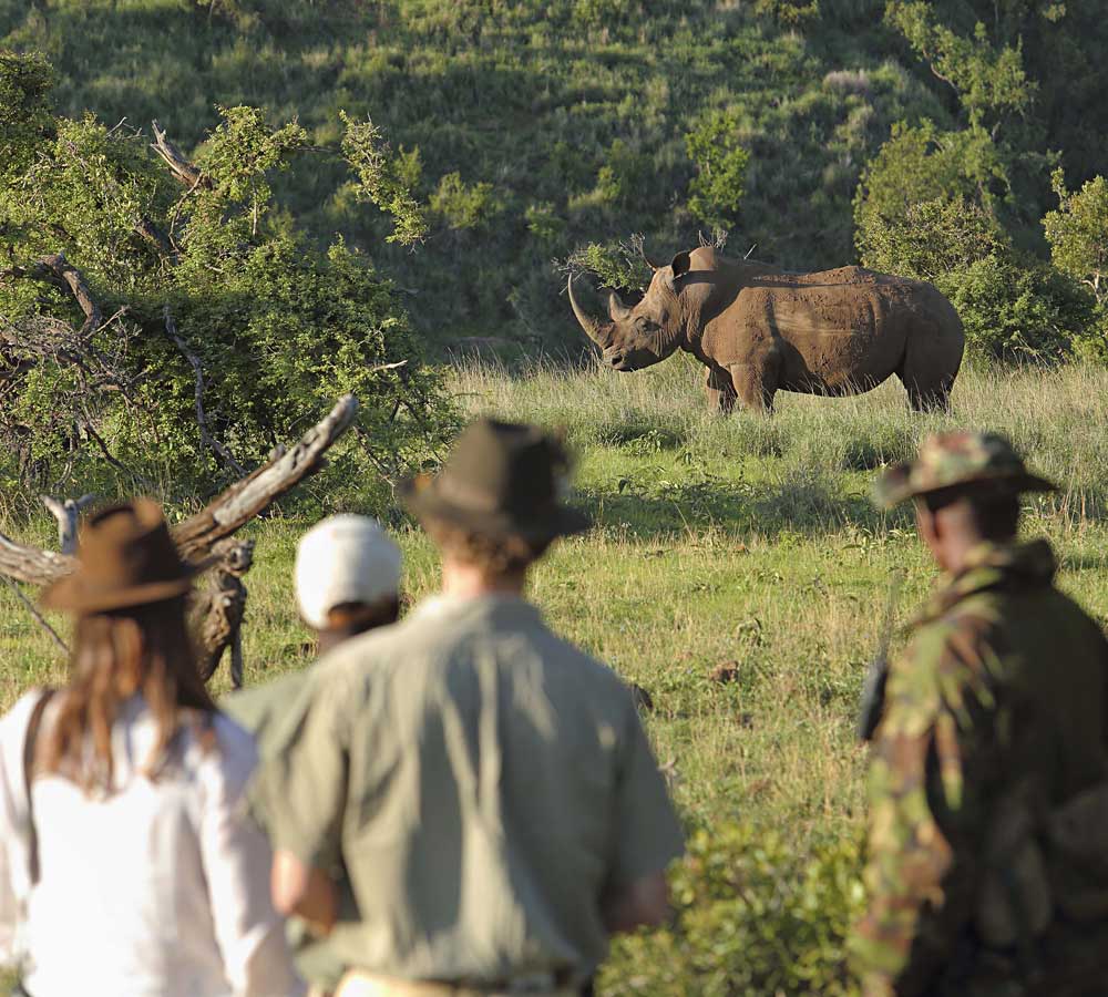 Laikipia-Rhino-tracking-Borana