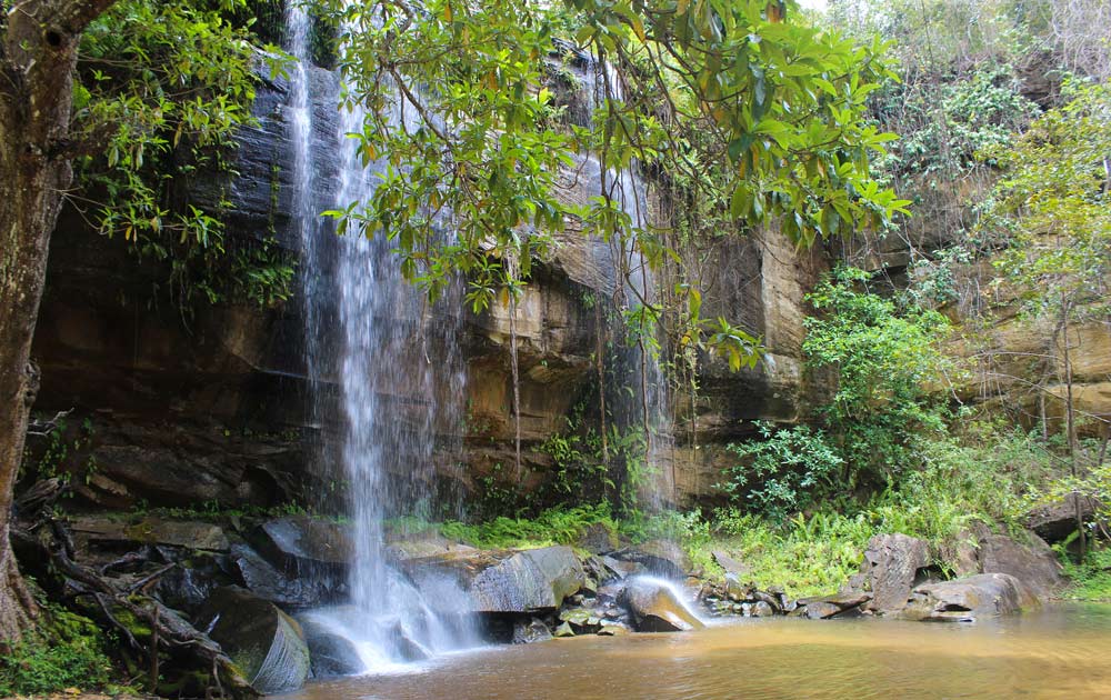 Sheldrick Falls in Shimba Hills