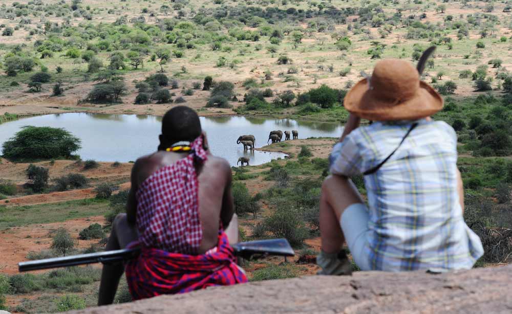 Walking safari Laikipia elephants