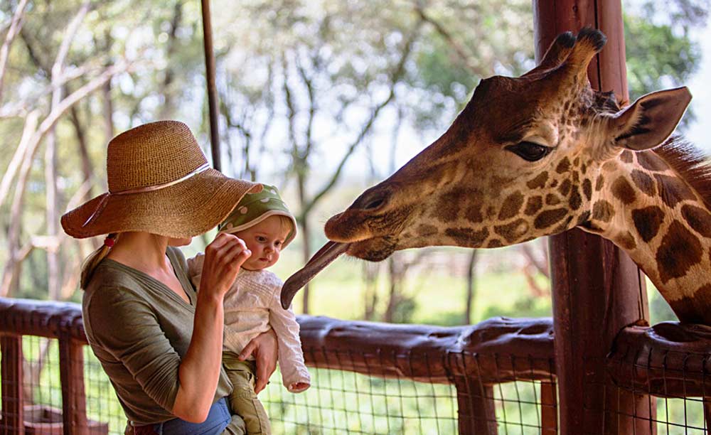 Giraffe Centre Nairobi