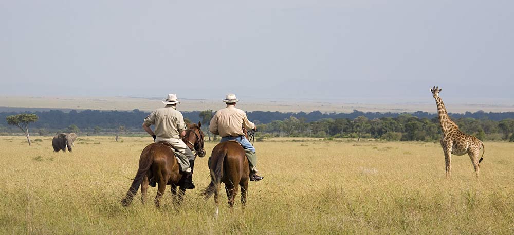 Riding in the Masai Mara