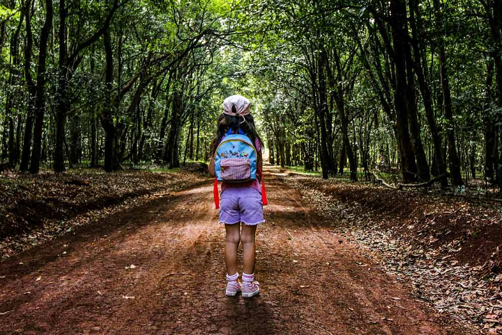 Karura Forest, Nairobi