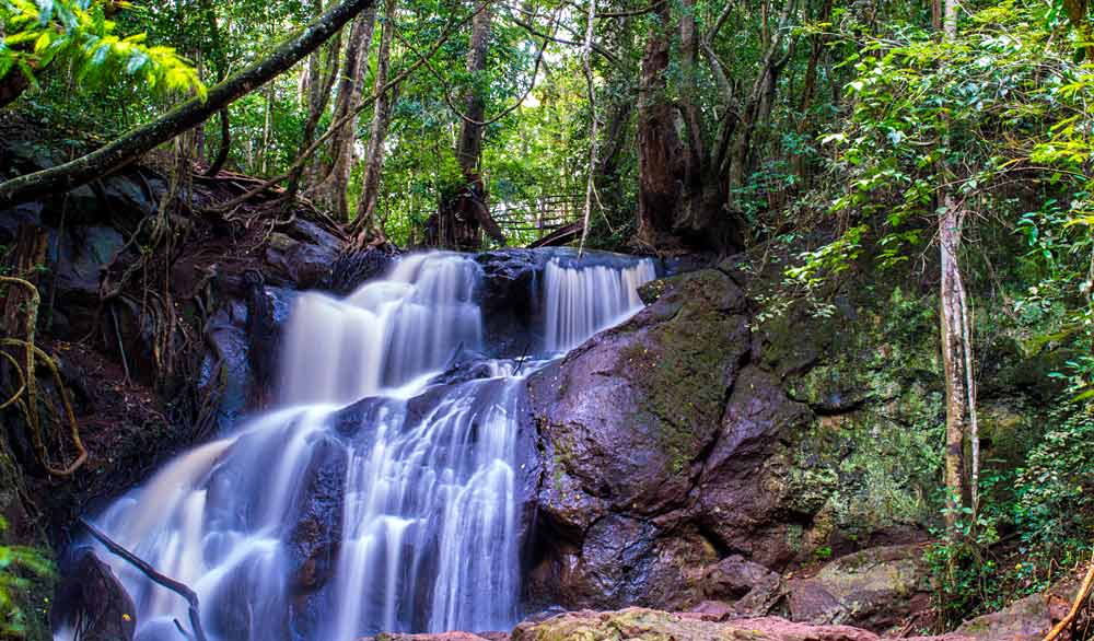 Karura Forest waterfall