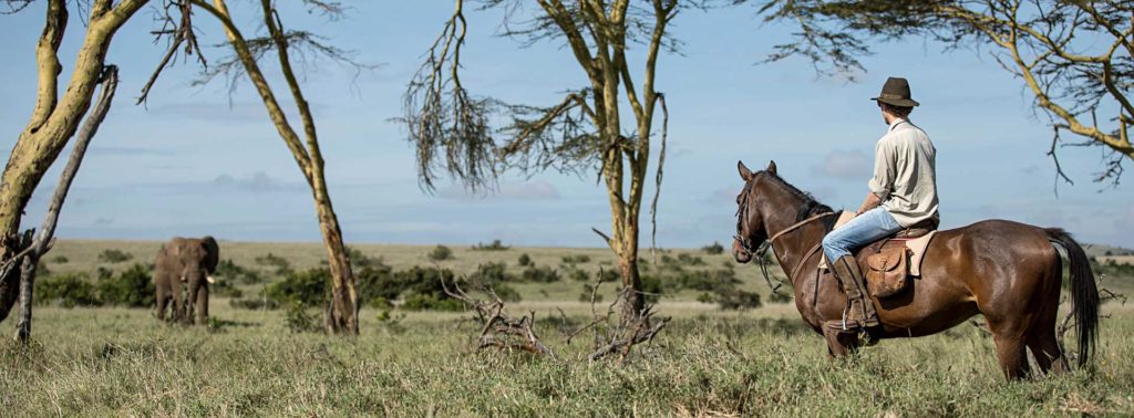 Kenya horse riding safaris