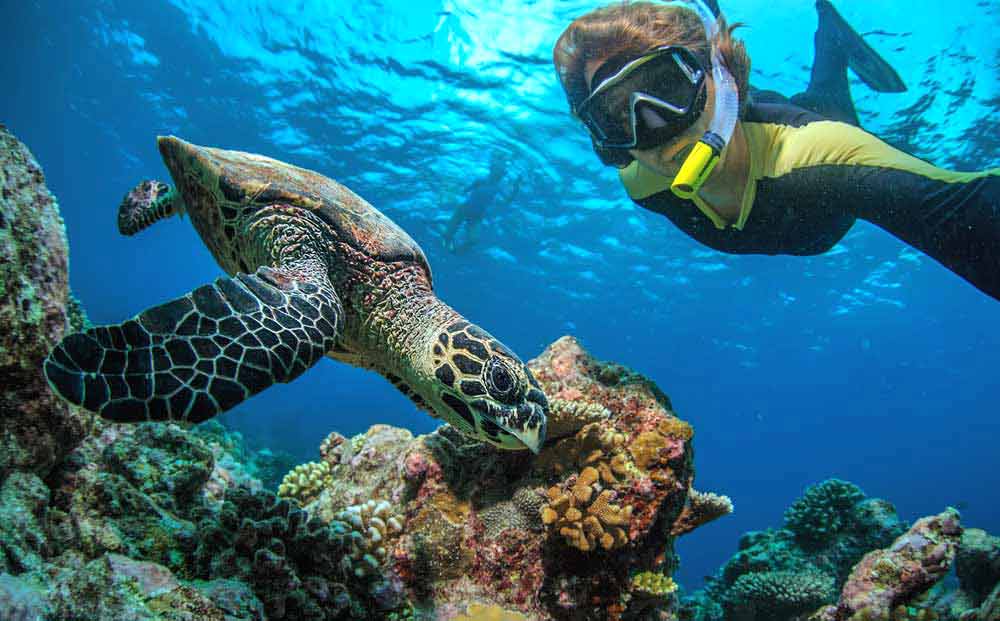 Snorkelling in Kiunga Marine Reserve