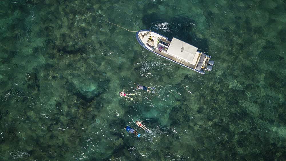 Kiunga snorkelling