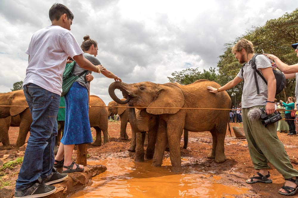 Visitors at the Sheldrick Wildlife Trust