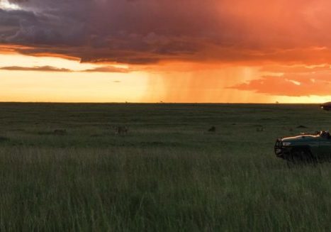 Naboisho Conservancy, Masai Mara